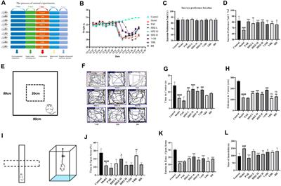 Sargassum pallidum reduces inflammation to exert antidepressant effect by regulating intestinal microbiome and ERK1/2/P38 signaling pathway